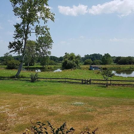 Gite 4Kms Plage Grand Domaine Prive Lacs Natura 2000 Lit-et-Mixe Exterior foto