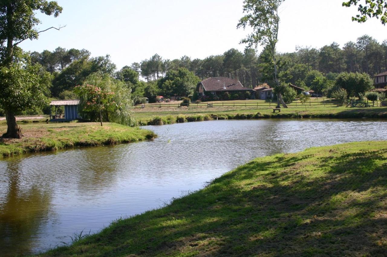 Gite 4Kms Plage Grand Domaine Prive Lacs Natura 2000 Lit-et-Mixe Exterior foto